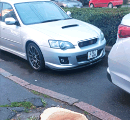 Опасайтесь деревьев, на дорогу «выбегающих»