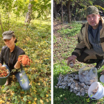 В поисках «грибного Эльдорадо»