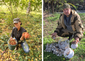 В поисках «грибного Эльдорадо»