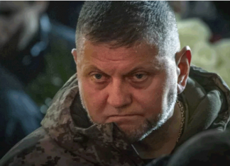 «Тупик»: Главком ВСУ сделал неожиданное признание