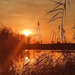 Как хочется познать весь мир, найти загадкам всем ответы