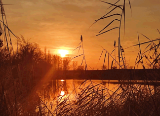 Как хочется познать весь мир, найти загадкам всем ответы
