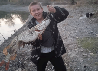 У щуки начался «осенний жор»