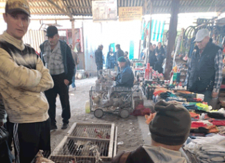 Птичий рынок: плохие условия, теснота и антисанитария