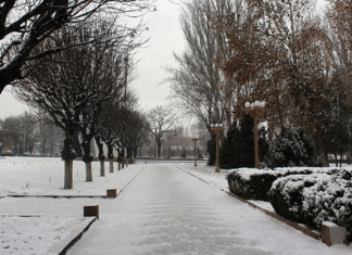 Месяц январь – зимы государь