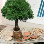 Иностранные инвестиции: кто и сколько вложил в Кыргызстан в 2023 году?