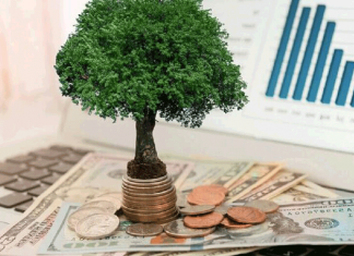 Иностранные инвестиции: кто и сколько вложил в Кыргызстан в 2023 году?