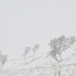 Число погибших из-за непогоды в США увеличилось до 89