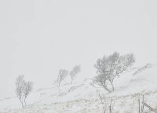 Число погибших из-за непогоды в США увеличилось до 89