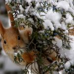 Сделать людей счастливыми