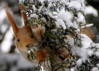 Сделать людей счастливыми
