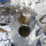 Сохраняют запасы дичи