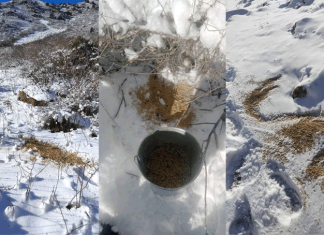 Сохраняют запасы дичи