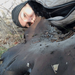 Зима – время сбора грибов-гигантов