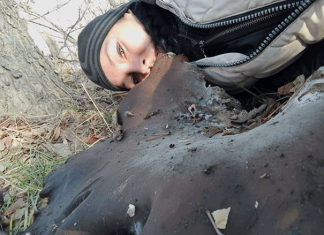 Зима – время сбора грибов-гигантов