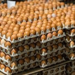 Несколько видов сельхозтоваров освободили от уплаты НДС при импорте