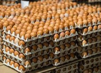 Несколько видов сельхозтоваров освободили от уплаты НДС при импорте