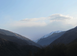 Вечера на хуторе близ Сосновки