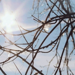 Февральский снег весною пахнет