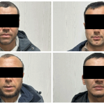 Воровали стаей