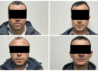 Воровали стаей