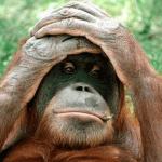 Случайно обнаруженные и удивительные факты2