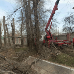 Как хотим – так и пилим