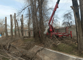 Как хотим – так и пилим