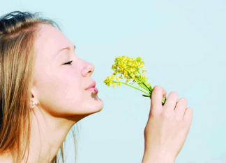 Лечение аллергии народными средствами