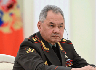 Шойгу: прозападные НПО нарастили антироссийскую деятельность в Центральной Азии