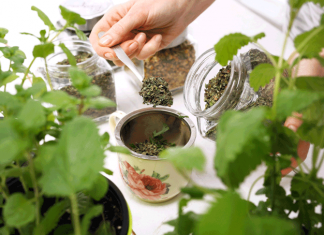 Лечение болезней по рецептам народных целителей