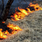 Запомните, огонь ошибок не прощает!