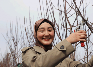 В садоводы я пойду – пусть меня научат