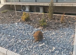 Белокаменная столица