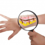 20 интересных фактов о коже