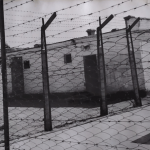 Иностранцы в тюрьмах Кыргызстана: закон суров, но он должен быть един для всех! (продолжение)