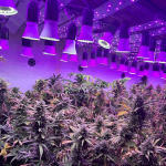 В Бишкеке и Чуйской области ликвидированы 3 нарколаборатории