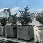 Кочующие туйки