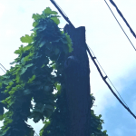 Оригинальная подставка