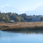 Шумел камыш…