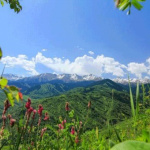 Пришел июнь-разноцвет – отбоя от работы нет