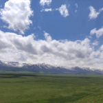 В Суусамырской долине начался сезон «тихой охоты»