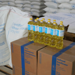 Россия передала Кыргызстану партию продовольствия