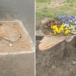 Когда в товарищах согласья нет…