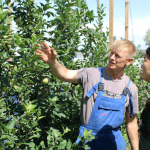 В сад. Все в сад…