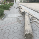 Газон или парковка? Что нужнее?