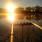 Прозеваешь — не возьмёшь! Как поймать самую редкую рыбу Кыргызстана?