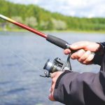 Утверждены новые тарифы на услуги департамента рыбного хозяйства