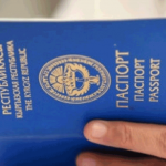 Консульские услуги для граждан Кыргызстана будут предоставляться в Самаре