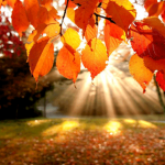 Лето красное провожает, осень золотую встречает